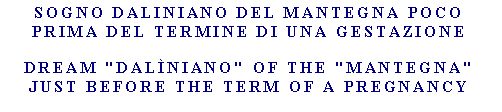 Casella di testo: Sogno Daliniano del Mantegna poco prima del termine di una gestazioneDream "DALìNIANO" Of the "MANTEGNA" Just before the Term Of A Pregnancy